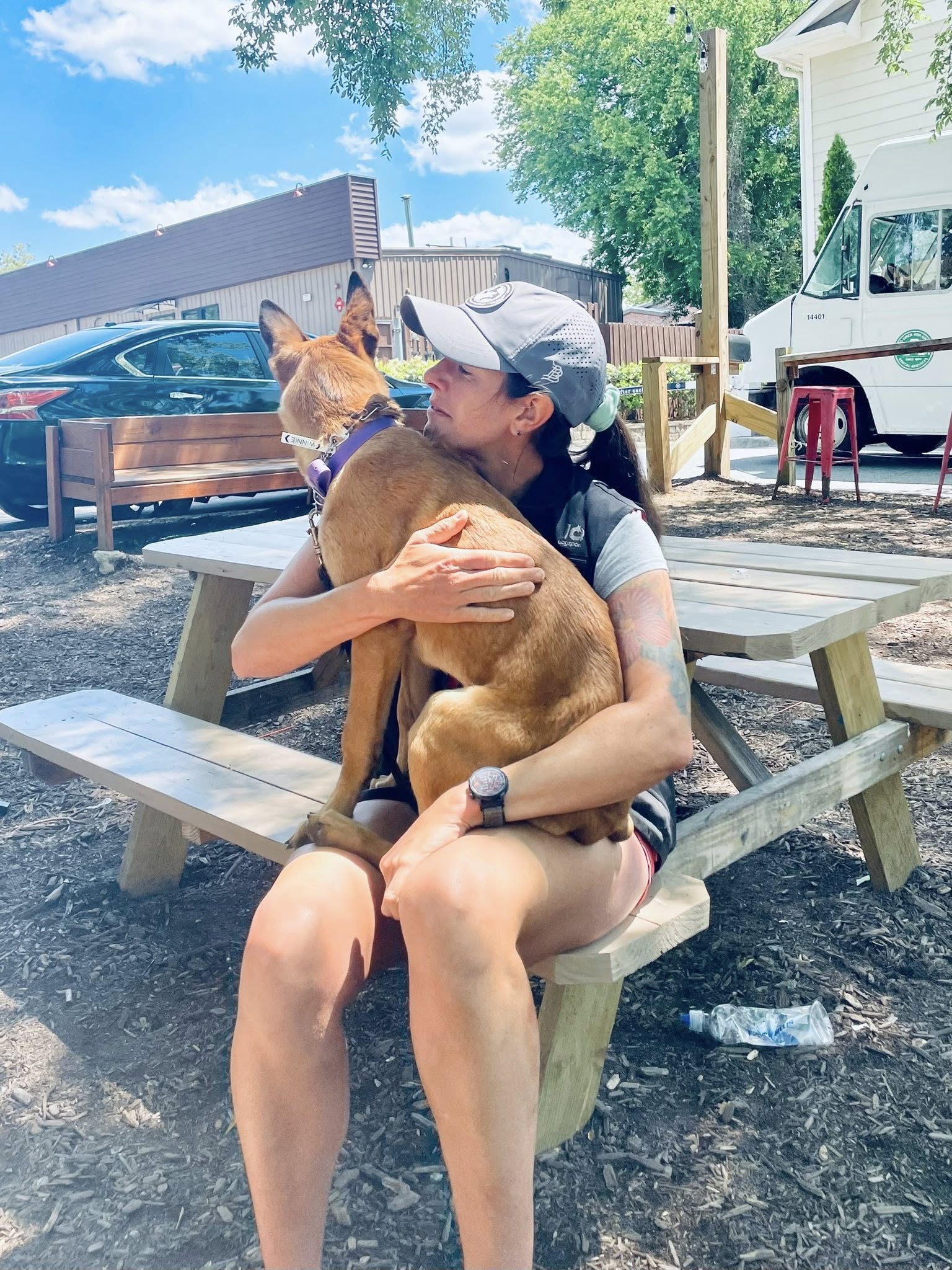 Ada puppy