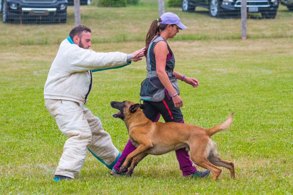 Torro defense
