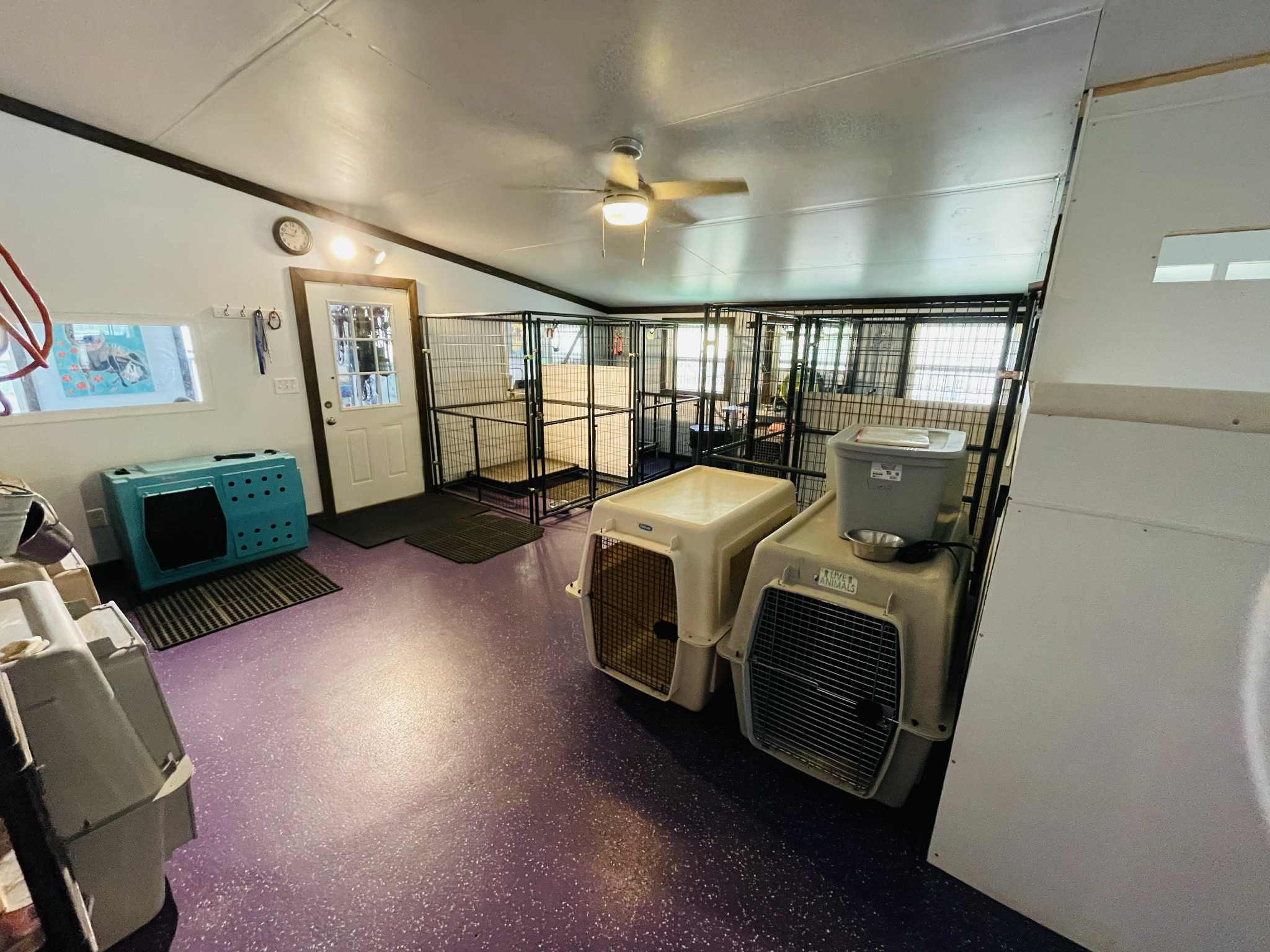 dog boarding room 2