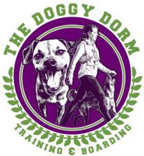 The Doggy Dorm